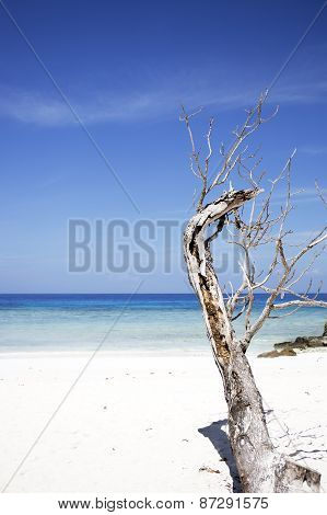 Beach Of Tachai Island, Similan National Park, Thailand