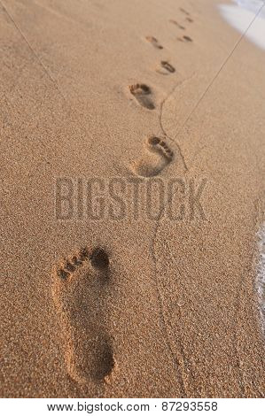 Footprints In The Sand