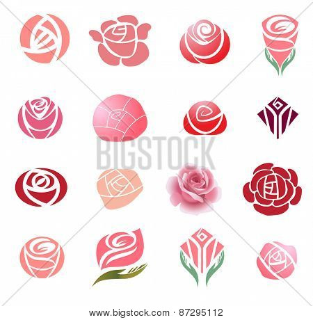 Set of rose flower design elements 