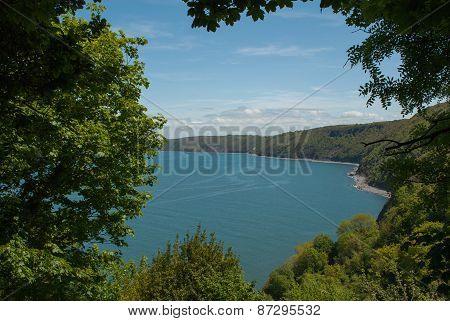 View of Sea through a frame of trees and meadow