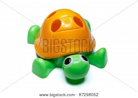 Turtle.