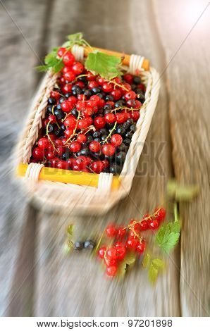 Little basket with redcurrant and blackberries on the old wooden table with ray effect