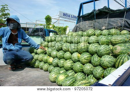 Asian Farmer, Agriculture Field, Vietnamese, Watermelon