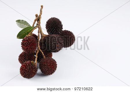 pulasan  thick skin or wild rambutan on the white background