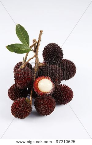 pulasan  thick skin or wild rambutan on the white background