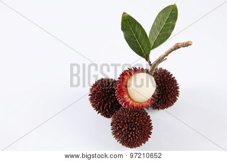 pulasan  thick skin or wild rambutan on the white background