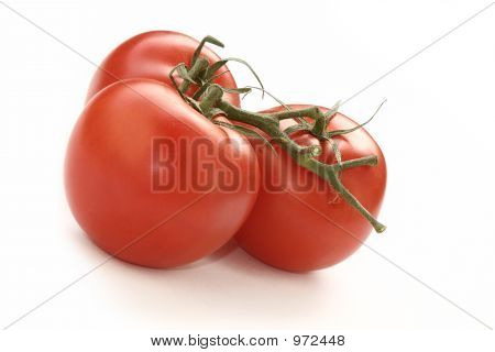 Tomatoes01