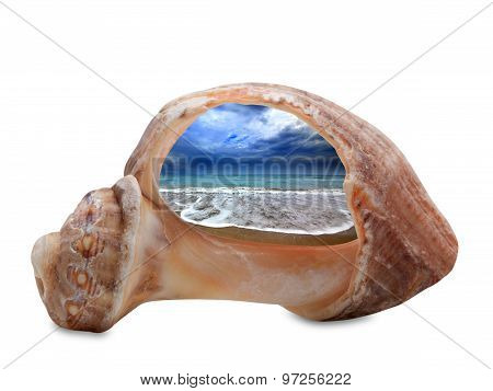 Sea Beach During Tide Through Broken Rapana Shell