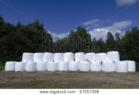 Ensilage Plastic Containers