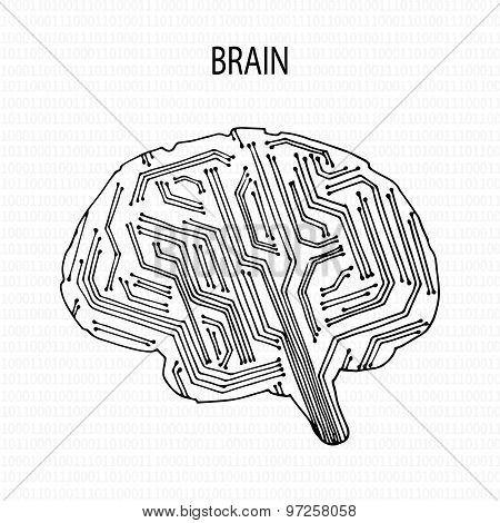 Abstract human brain.
