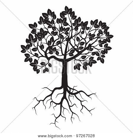 Tree And Roots. Vector Illustration.