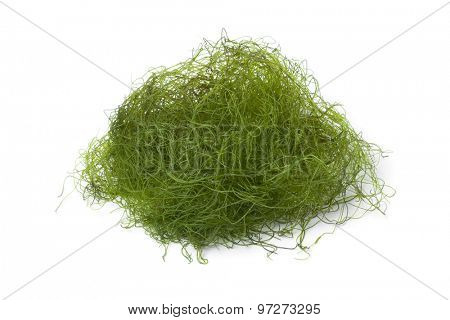 Heap of fresh filamentous green algaeas 