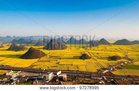 Beautiful landscape rapeseed field or canola flower field in spring, Luoping in China