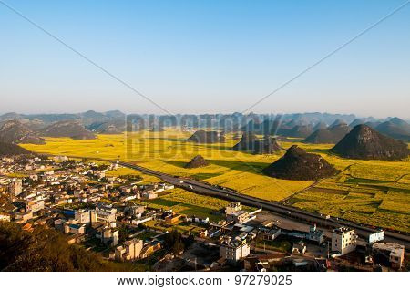 Beautiful landscape rapeseed field or canola flower field in spring, Luoping in China
