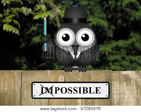 Making the Impossible Possible