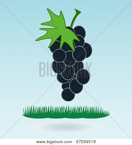 Bunch Of Grapes, Grass Concept, Grass Concept