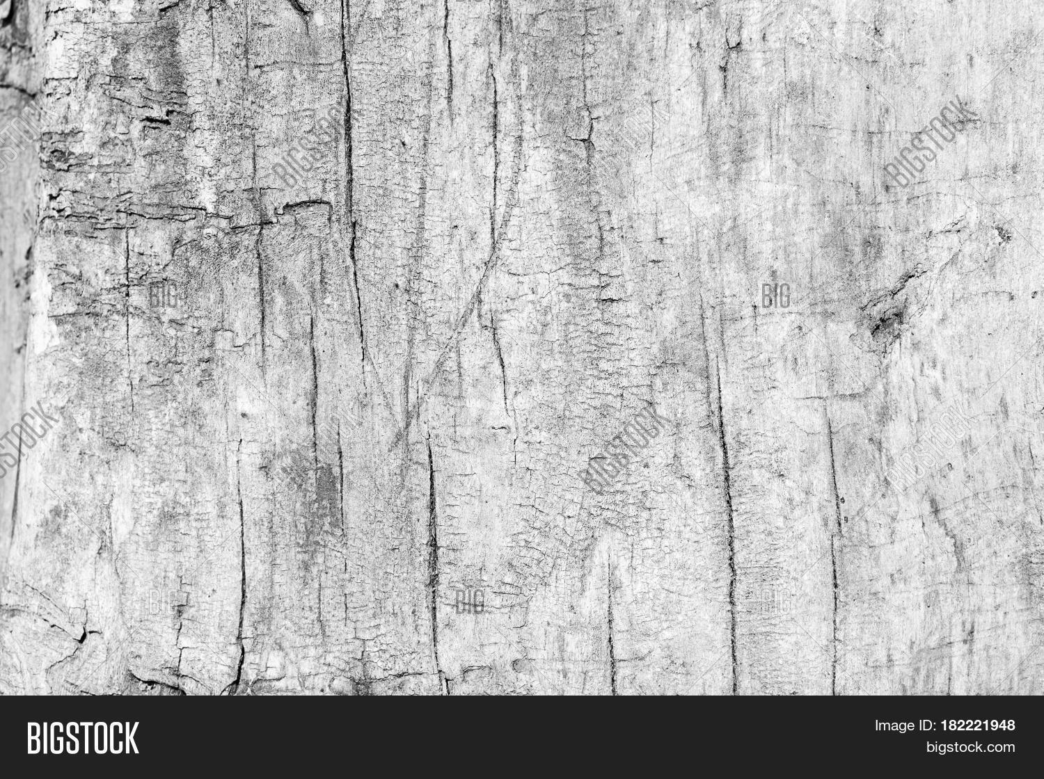 Black White Wood Image & Photo (Free Trial) | Bigstock