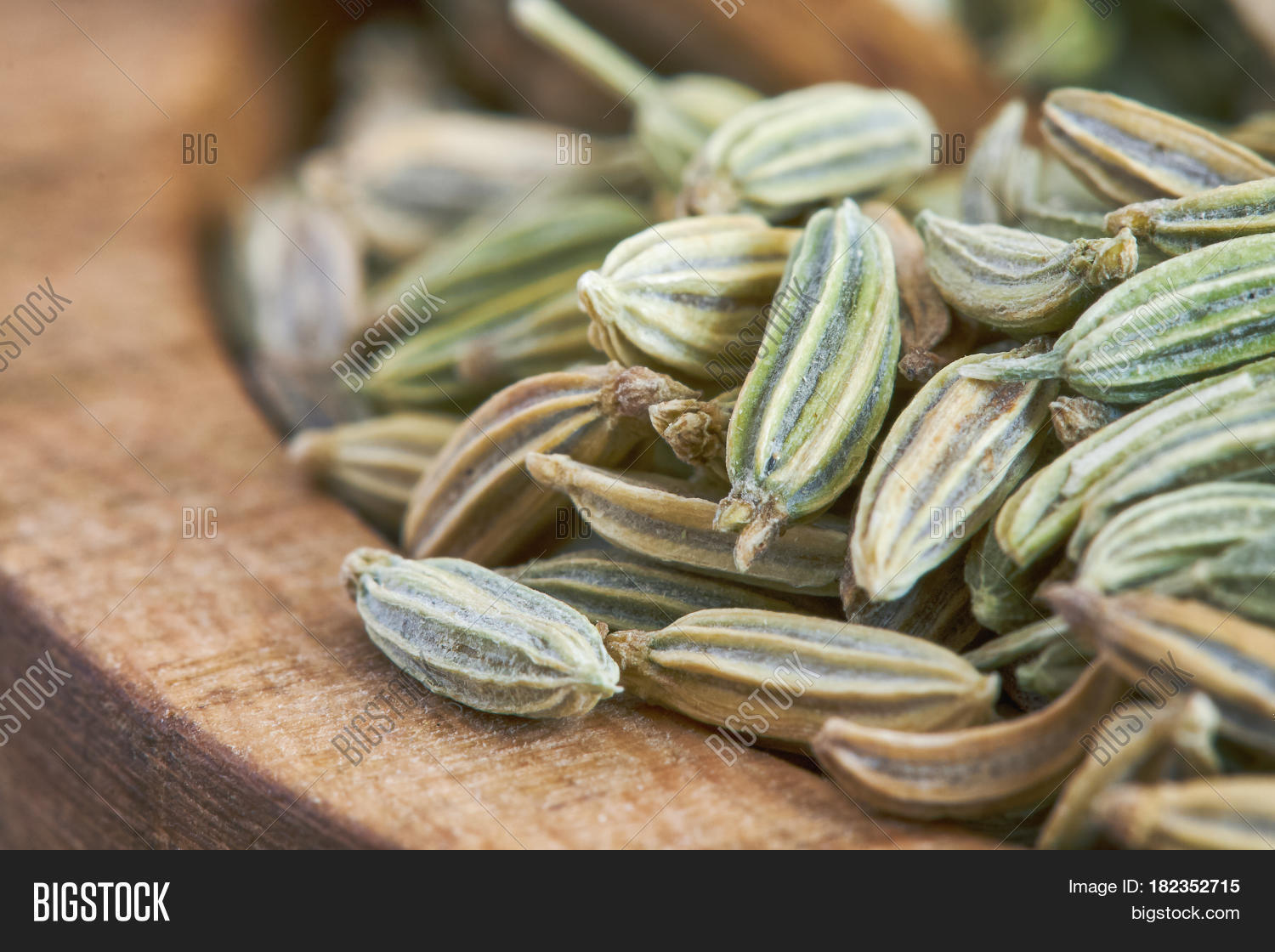 Dried Fennel Seeds Image & Photo (Free Trial) Bigstock