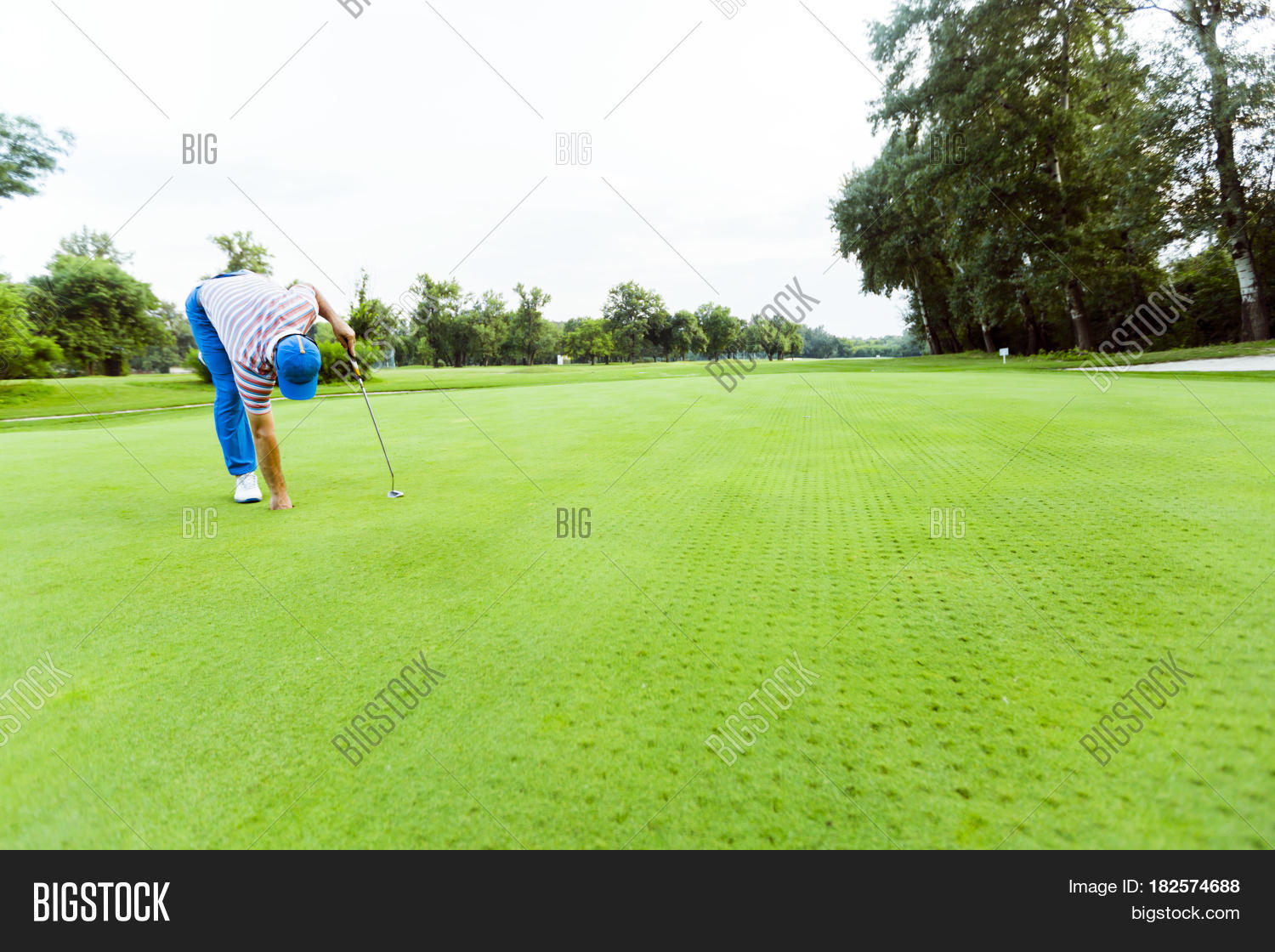 Golfer Retrieving Ball Image & Photo (Free Trial) Bigstock