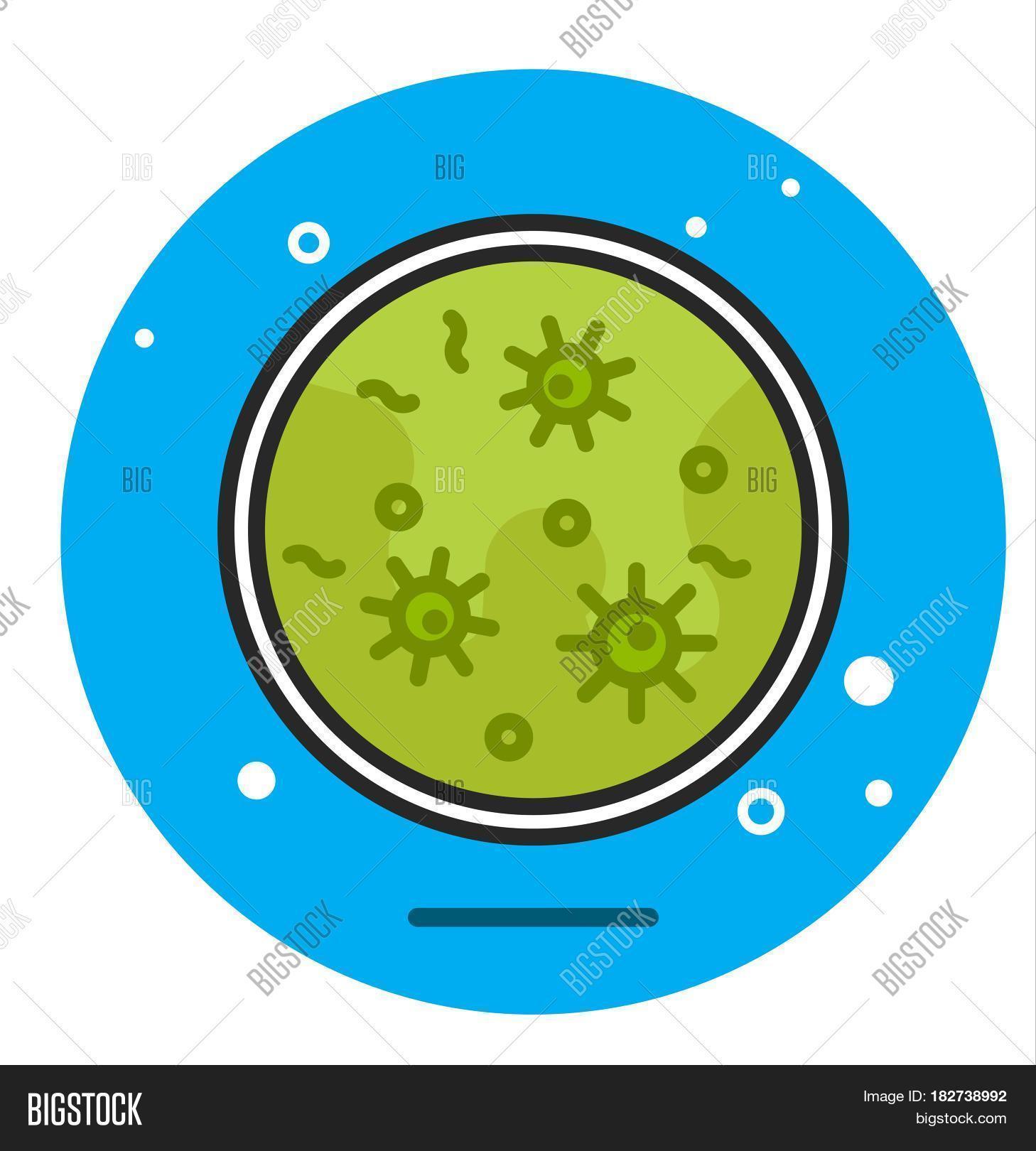 Petri Dish Icon Image & Photo (Free Trial) Bigstock