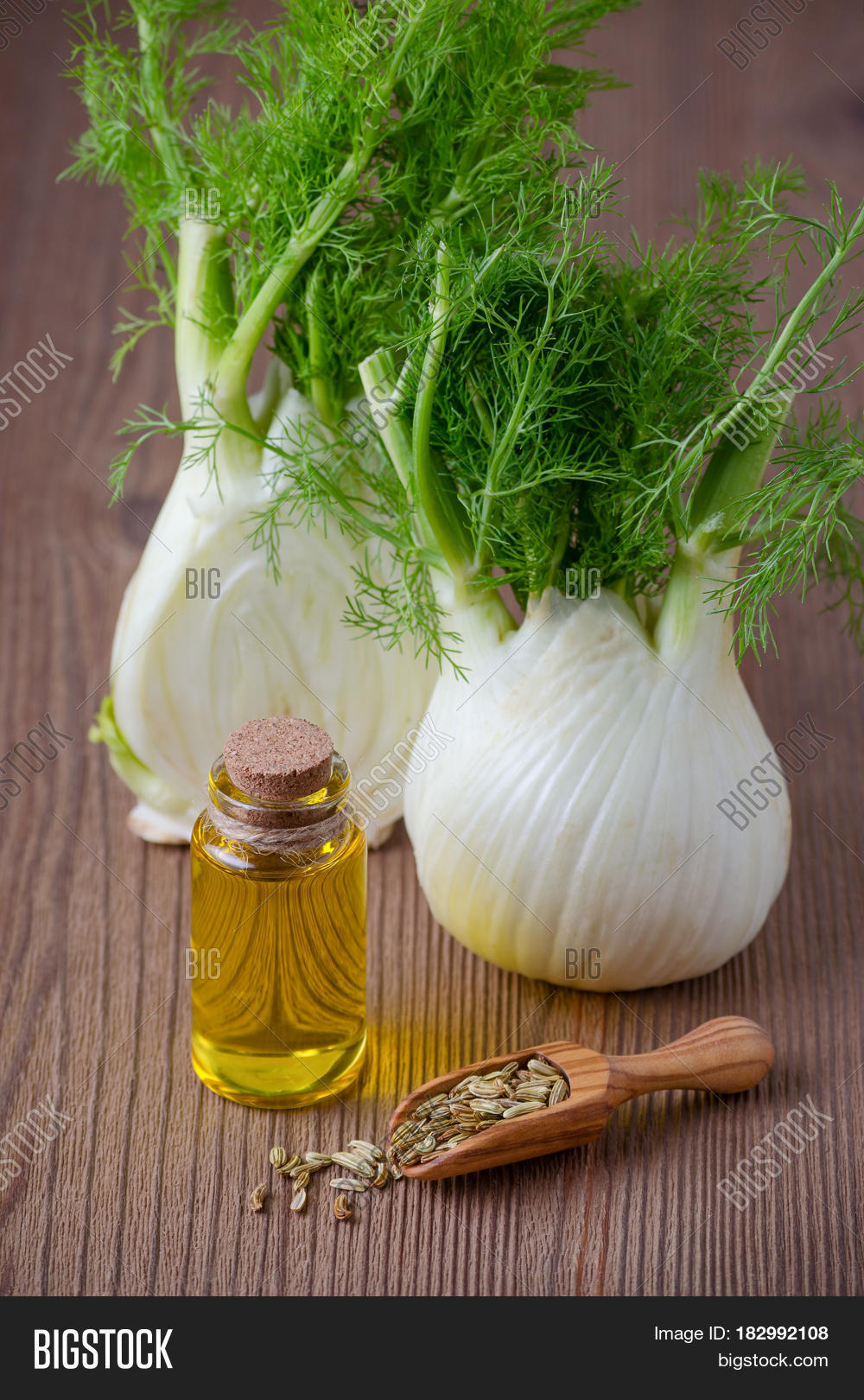 Fennel Essential Oil Image & Photo (Free Trial) Bigstock