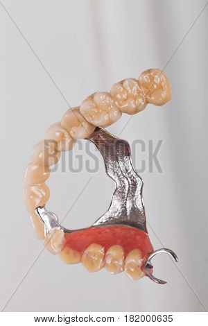 Skeletal Prosthesis -  Art Of Dentsitry