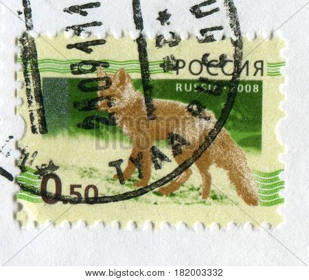 GOMEL, BELARUS, APRIL 15, 2017. Stamp printed in Russia shows image of  The Foxes, omnivorous mammals belonging to several genera of the family Canidae, circa 2008.