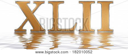 Roman Numeral Xlii, Duo Et Quadraginta, 42, Forty Two, Reflected On The Water Surface, Isolated On