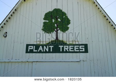 Frammenti di Farm Building