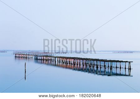 Shellfish Farming From Po River Lagoon, Italy