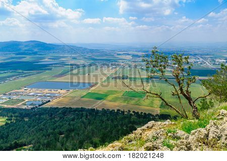 Jezreel Valley Landscape, Viewed From Mount Precipice