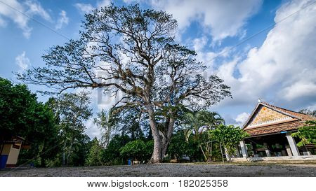 The area of Wat Khu Tao Mae Tom Bang Klam Songkhla Thailand