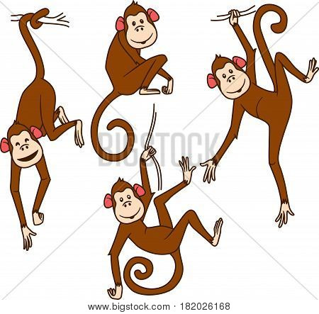 Set of monkeys in different poses on a white background