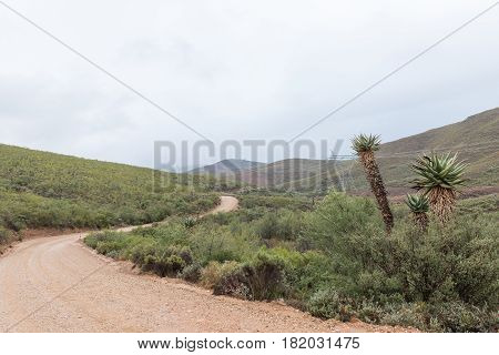 The landscape on the Oude Muragie road between De Rust and the Cango Caves in the Western Cape Province of South Africa