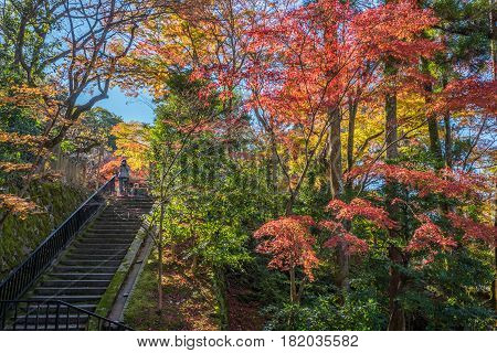 Kyoto Japan - November 27 2015 : Unidentified people visit Eikando temple in autumn.Eikando temple is one of the most popular tourist at Kyoto in high season ( Momiji) Kyoto Japan.