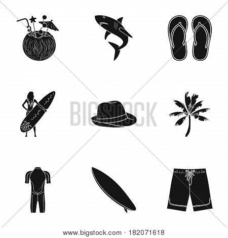 A collection of pictures on the theme of the beach, the sea, surfing. Rescuers of the beach.Surfing icon in set collection on black style vector symbol stock web illustration.