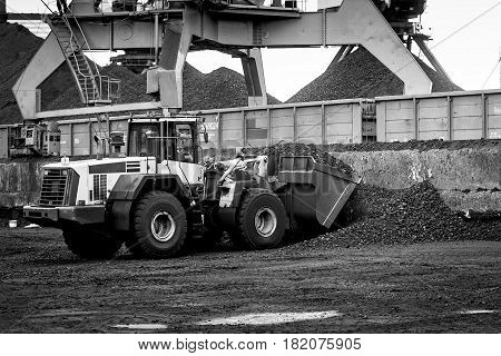 Maritime transportation industry. Work in port coal transshipment terminal.