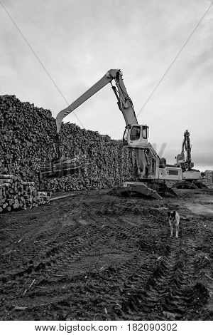Maritime transportation industry. Cranes at warehouse territory logs are unloaded from the truck.