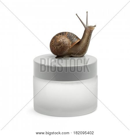 Snail-slime face cream with the snail on the pot