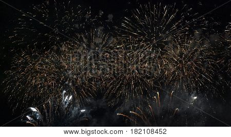 Festive fireworks in night sky. A single shot of the colorful fireworks in honor of the event. Firework multicolour fun and joyful. Different colors amazing various fireworks dark sky background.