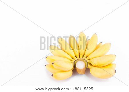 ripe hand of golden bananas or  Lady Finger banana     on white background healthy Pisang Mas Banana fruit food isolated