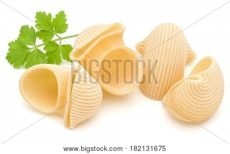 Italian lumaconi isolated on white background. Lumache, snailshell shaped pasta.