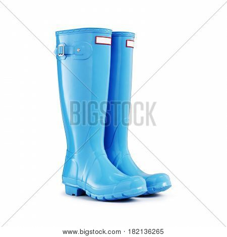 Blue Rubber Boots Isolated On White Background. Rubber Shoes