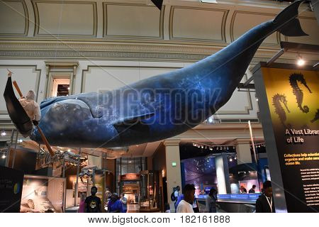 WASHINGTON, DC - APR 15: National Museum of Natural History in Washington, DC, as seen on April 15, 2017. It is administered by the Smithsonian Institution.