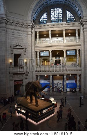 WASHINGTON, DC - APR 15: National Museum of Natural History in Washington, DC, as seen on April 15, 2017. It is administered by the Smithsonian Institution.