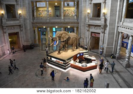 WASHINGTON, DC - APR 15: National Museum of Natural History in Washington, DC, as seen on April 15, 2017. It is administered by the Smithsonian Institution.