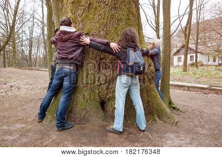 Group of friends hugging giant tree trunk and holding hands during hiking excursion. Tree hugging, tourism, ecology, nature support and friendship concept.