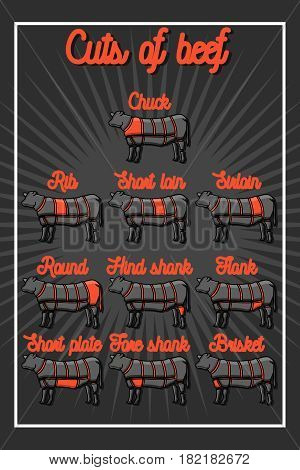 Cut of beef set. Poster Butcher diagram - Cow. Vintage typographic hand-drawn. Vector illustration