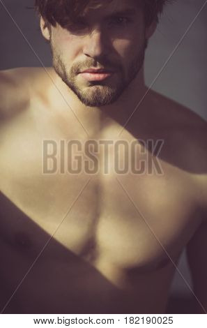 Handsome man with beard or sexy muscular macho athlete with sunlight on fit naked torso on grey background. Blond hair and bearded unshaven face skin. Male beauty and fitness