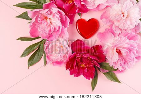 nice peonies
